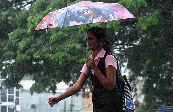 കുട്ടനാട് താലൂക്കിലെ വിദ്യാഭ്യാസ സ്ഥാപനങ്ങൾക്ക് നാളെ അവധി 