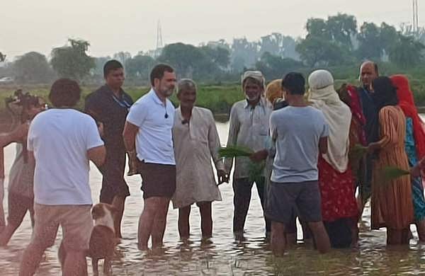 'റിയല്‍ ആകാനുള്ള രാജകുമാരന്റെ ശ്രമം കണ്ട് ചിരി വരുന്നു'