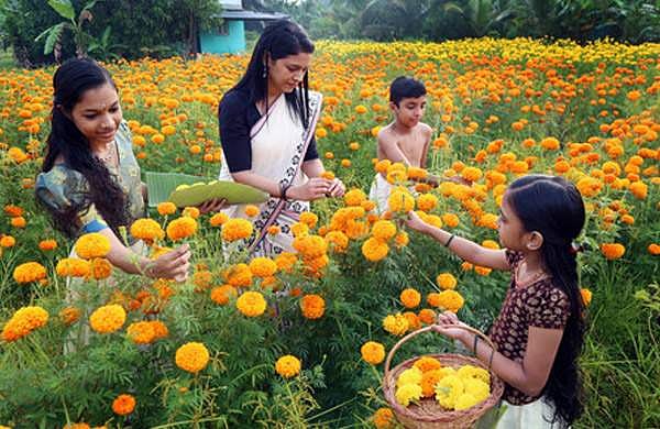 പൂവിളികളുമായി അത്തം പിറന്നു; മലയാളികള്‍ ഓണാവേശത്തിലേക്ക്; തൃപ്പൂണിത്തുറ അത്തച്ചമയ ഘോഷയാത്ര ഇന്ന്