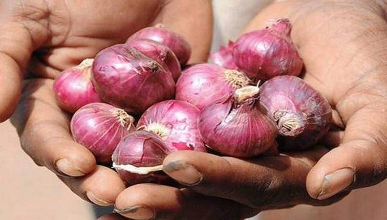 ഇന്ന് മുതൽ കിലോയ്ക്ക് 25 രൂപ നിരക്കിൽ സവാള; കേന്ദ്രത്തിന്റെ ഇടപെടൽ 