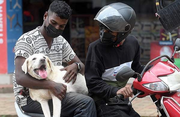 പക്ഷി കടിച്ചതും പൊട്ടിയതുമായ പഴങ്ങളും പച്ചക്കറികളും കഴിക്കരുത്; മൃഗങ്ങളുമായി ഇടപഴകുമ്പോഴും മാസ്ക് ധരിക്കണം; ജാഗ്രതാ നിർദ്ദേശം  