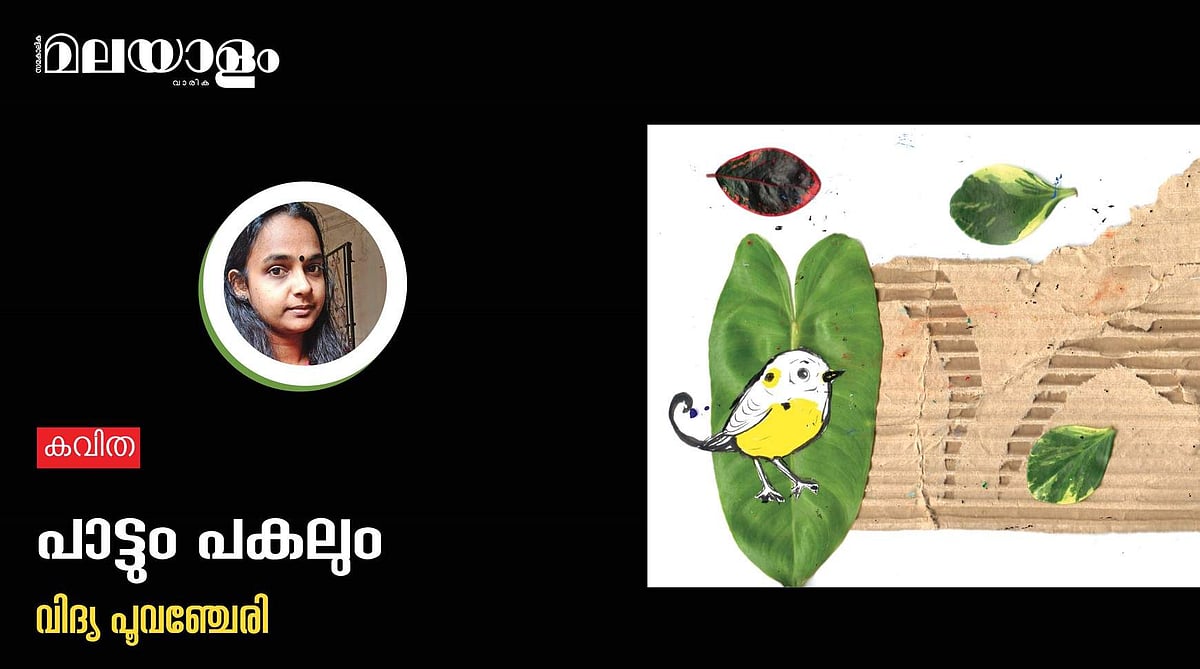'പാട്ടും പകലും'- വിദ്യ പൂവഞ്ചേരി എഴുതിയ കവിത