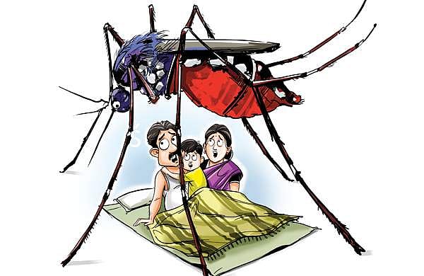 സംസ്ഥാനത്ത് ഇന്ന് 71പേര്‍ക്ക് ഡെങ്കിപ്പനി; എംജി സര്‍വകലാശാല ഹോസ്റ്റലുകള്‍ അടച്ചു