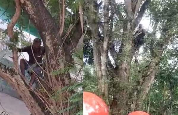 മരം മുറിച്ച കൂലി കൊടുത്തില്ല, കഴുത്തിൽ കുരുക്കിട്ട് മരത്തിൽ കയറി ആത്മഹത്യാ ഭീഷണി മുഴക്കി 55കാരൻ
