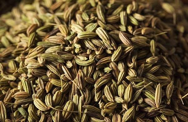 വായ്‌നാറ്റം തടയാന്‍ മാത്രമല്ല കുടലിന്റെ ആരോഗ്യത്തിനും ബെസ്റ്റ്; ഭക്ഷണത്തിന് ശേഷം പെരുംജീരകം കഴിക്കുന്നതെന്തിന്? 